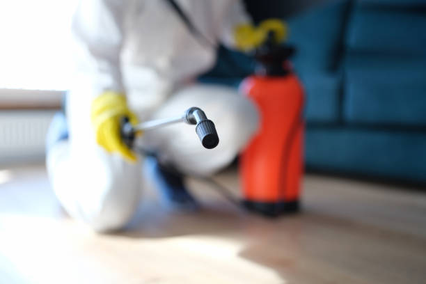 Environmental Consulting for Mold Prevention in Rainbow Lakes Estates, FL