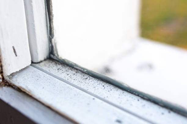 Best Air Quality Testing for Mold Spores  in Rainbow Lakes Estates, FL