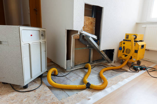 Best Emergency Mold Remediation  in Rainbow Lakes Estates, FL