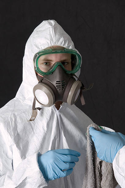 Best Mold-Related Health Consultation  in Rainbow Lakes Estates, FL